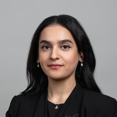 د. ساروش خان عبد المجيد خان